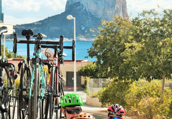 Bike center Posibilidad de reservar bicicletas