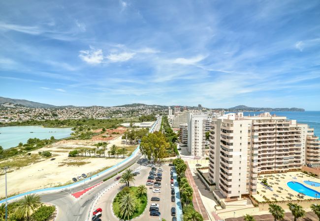 Apartamento en Calpe -  Apolo XVII - 1 dormitorio vista mar Apartamento en Calpe -  Apolo XVII - 1 dormitorio vista mar