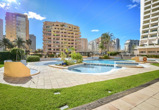 Apartamento en Calpe -  Apolo XVII - 1 dormitorio vista mar Apartamento en Calpe -  Apolo XVII - 1 dormitorio vista mar