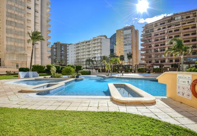 Apartamento en Calpe -  Apolo XVII - 1 dormitorio vista mar Apartamento en Calpe -  Apolo XVII - 1 dormitorio vista mar