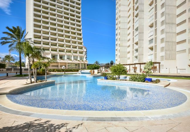 Apartamento en Calpe -  Apolo XVII - 1 dormitorio vista mar Apartamento en Calpe -  Apolo XVII - 1 dormitorio vista mar