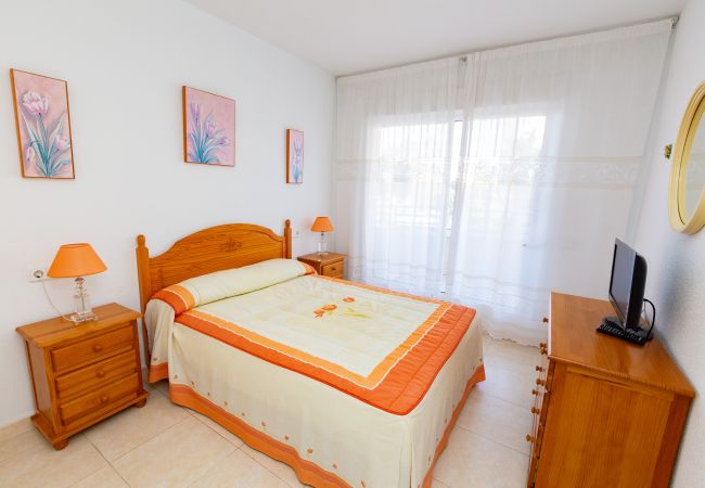 Apartment in Calpe / Calp - Apolo XVII  - 1 bedroom  Apartment in Calpe / Calp - Apolo XVII  - 1 bedroom