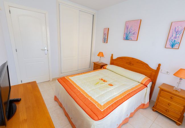 Apartment in Calpe / Calp - Apolo XVII  - 1 bedroom  Apartment in Calpe / Calp - Apolo XVII  - 1 bedroom