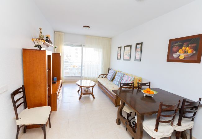 Apartment in Calpe / Calp - Apolo XVII  - 1 bedroom  Apartment in Calpe / Calp - Apolo XVII  - 1 bedroom