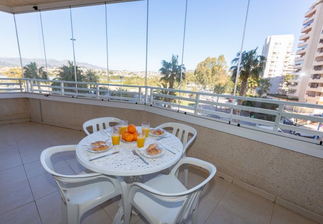 Apartment in Calpe / Calp - Apolo XVII  - 1 bedroom  Apartment in Calpe / Calp - Apolo XVII  - 1 bedroom
