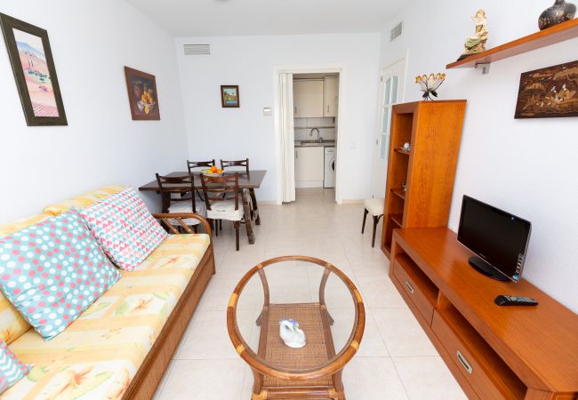 Apartment in Calpe / Calp - Apolo XVII  - 1 bedroom  Apartment in Calpe / Calp - Apolo XVII  - 1 bedroom