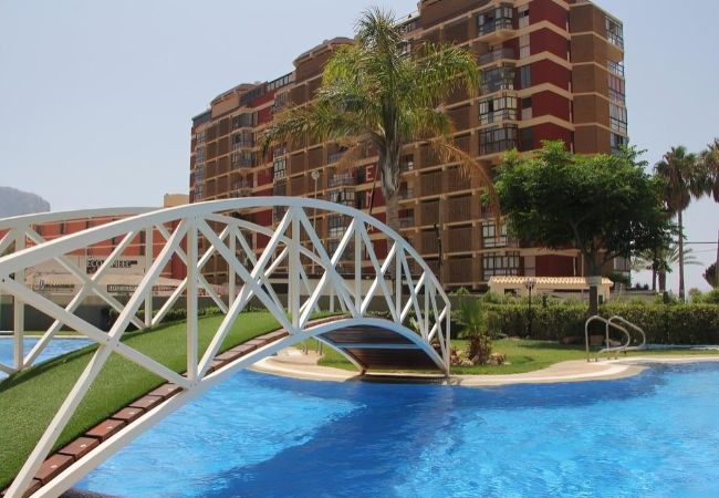 Apartment in Calpe / Calp - Apolo XIV 1-13-119 Apartment in Calpe / Calp - Apolo XIV 1-13-119