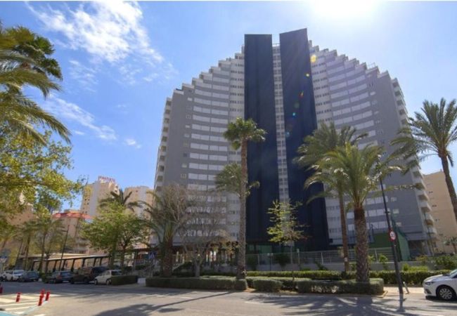 Apartment in Calpe / Calp - Apolo XIV 1-13-119 Apartment in Calpe / Calp - Apolo XIV 1-13-119